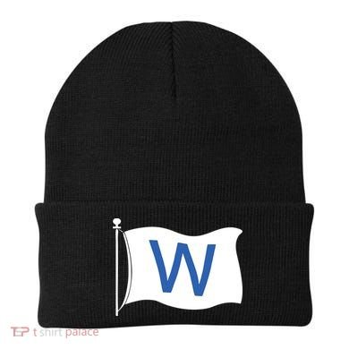 Chicago Win W Flag Baseball Beanie