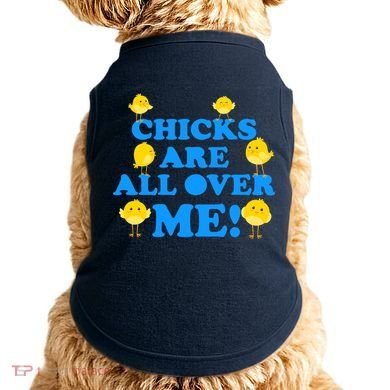 Chicks Are All Over Me Funny Baby Chick Easter Doggie Tank