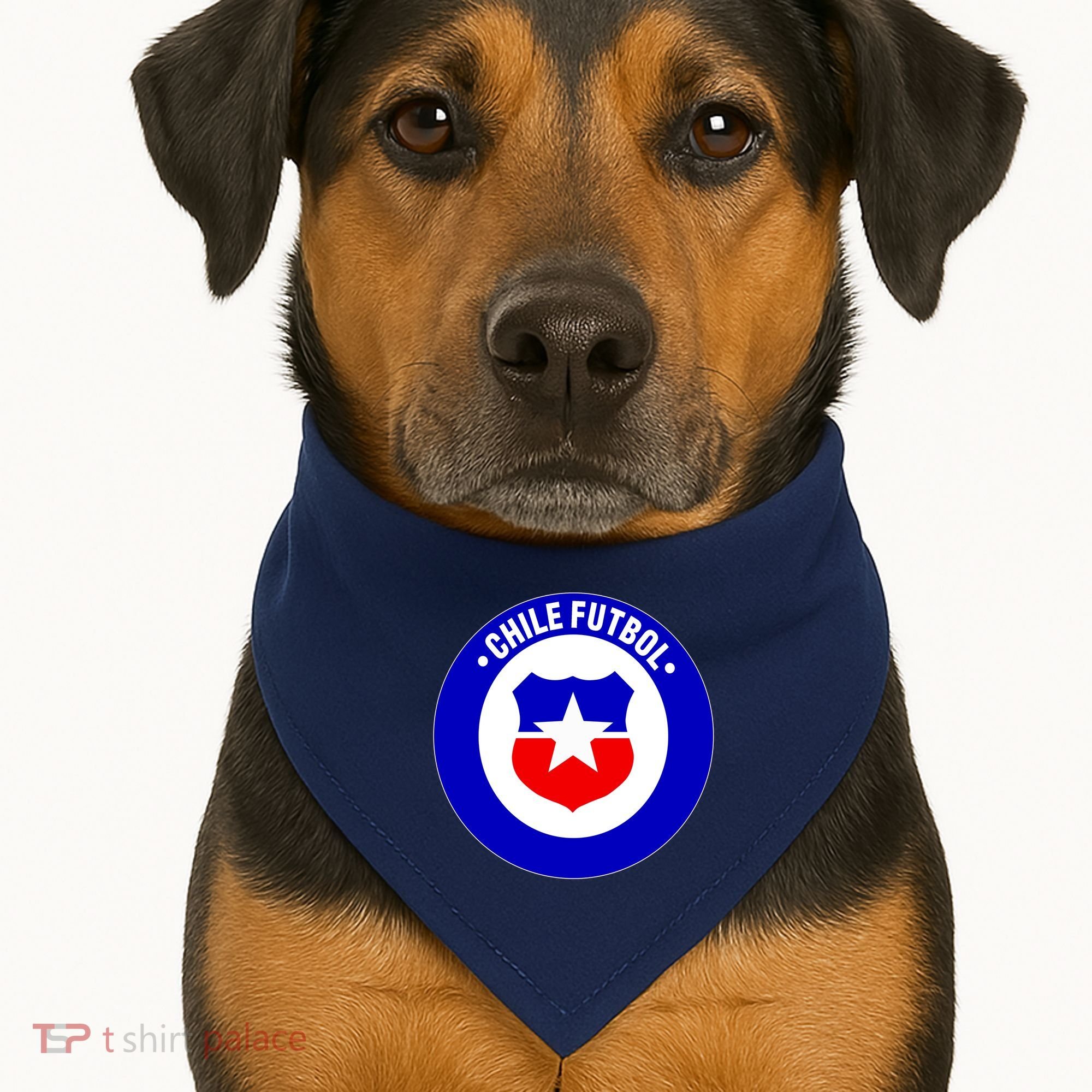 Chile Futbol Soccer Retro National Team USA-Made Doggie Bandana