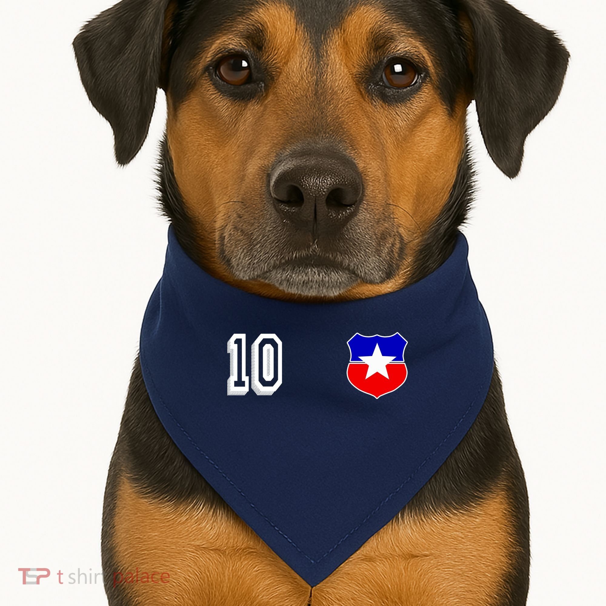Chile Soccer La Roja Jersey Number 10 USA-Made Doggie Bandana
