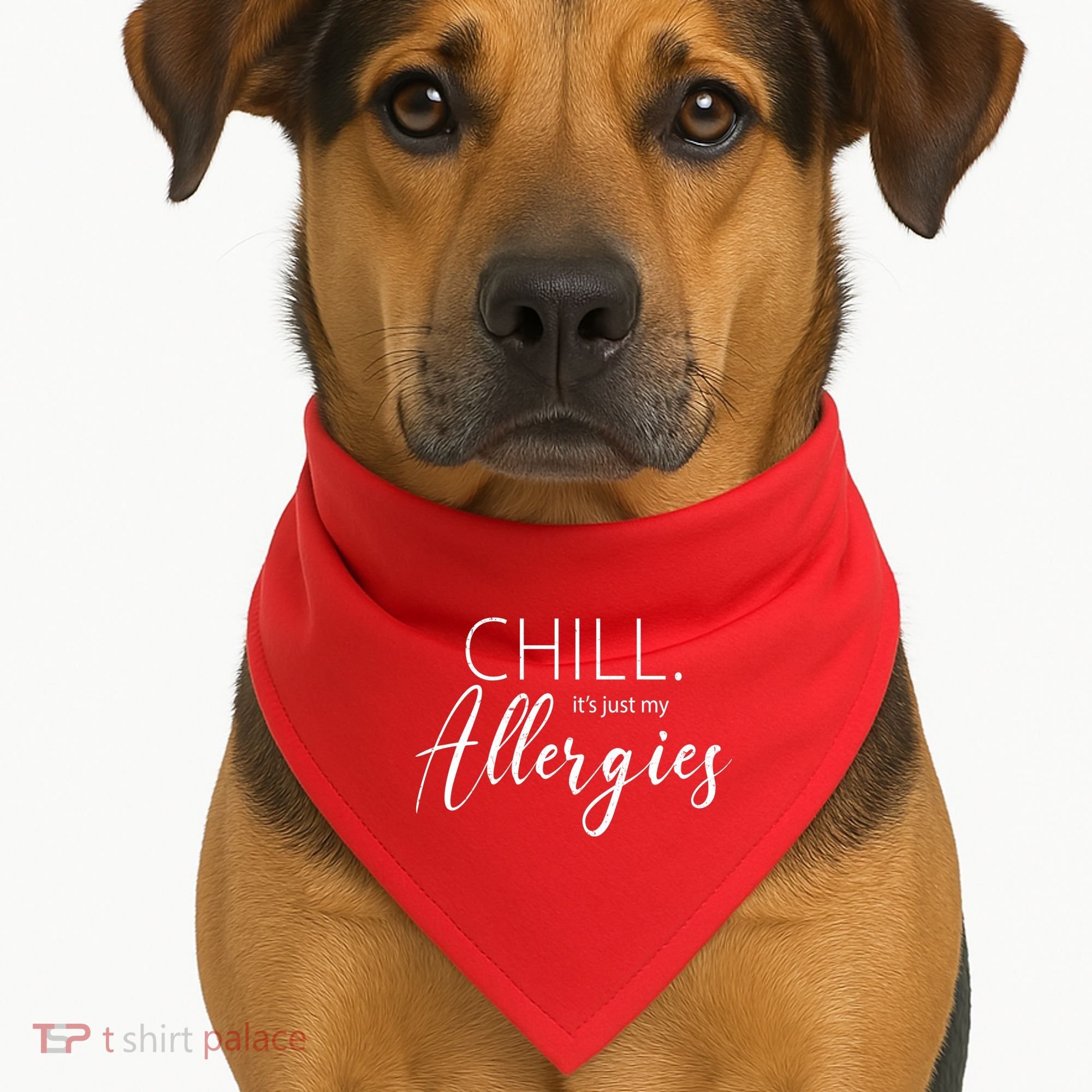 Chill It's Just My Allergies Funny USA-Made Doggie Bandana