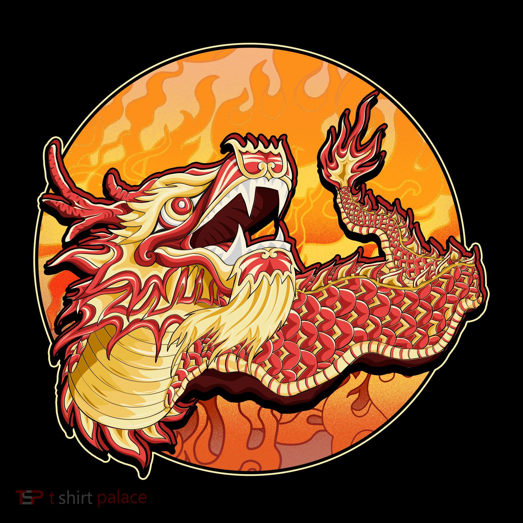 Chinese Dragon Fire Dance Women's T-Shirt
