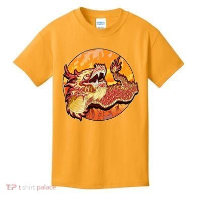 Chinese Dragon Fire Dance Kids T-Shirt