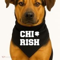 Chirish St Patrick's Day CHI-Irish Chicago Funny Clover USA-Made Doggie Bandana thumb 1