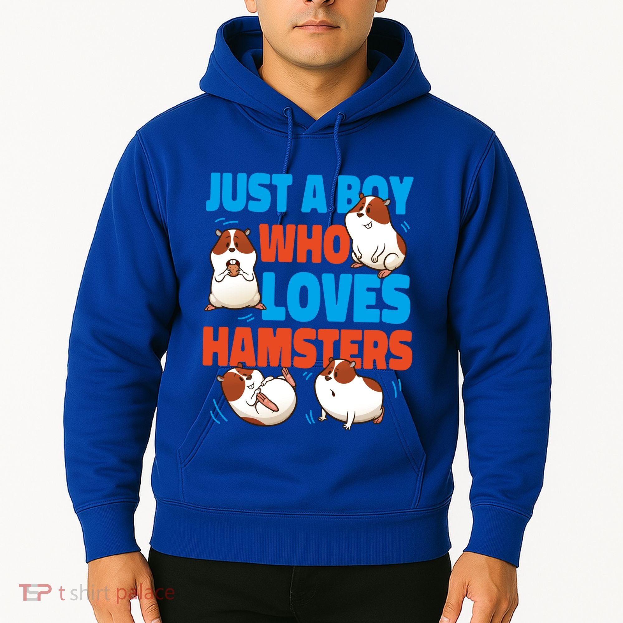 Cute Hamster Just A Boy Who Loves Hamsters Gift Hoodie