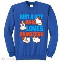 Cute Hamster Just A Boy Who Loves Hamsters Gift Sweatshirt thumb 0