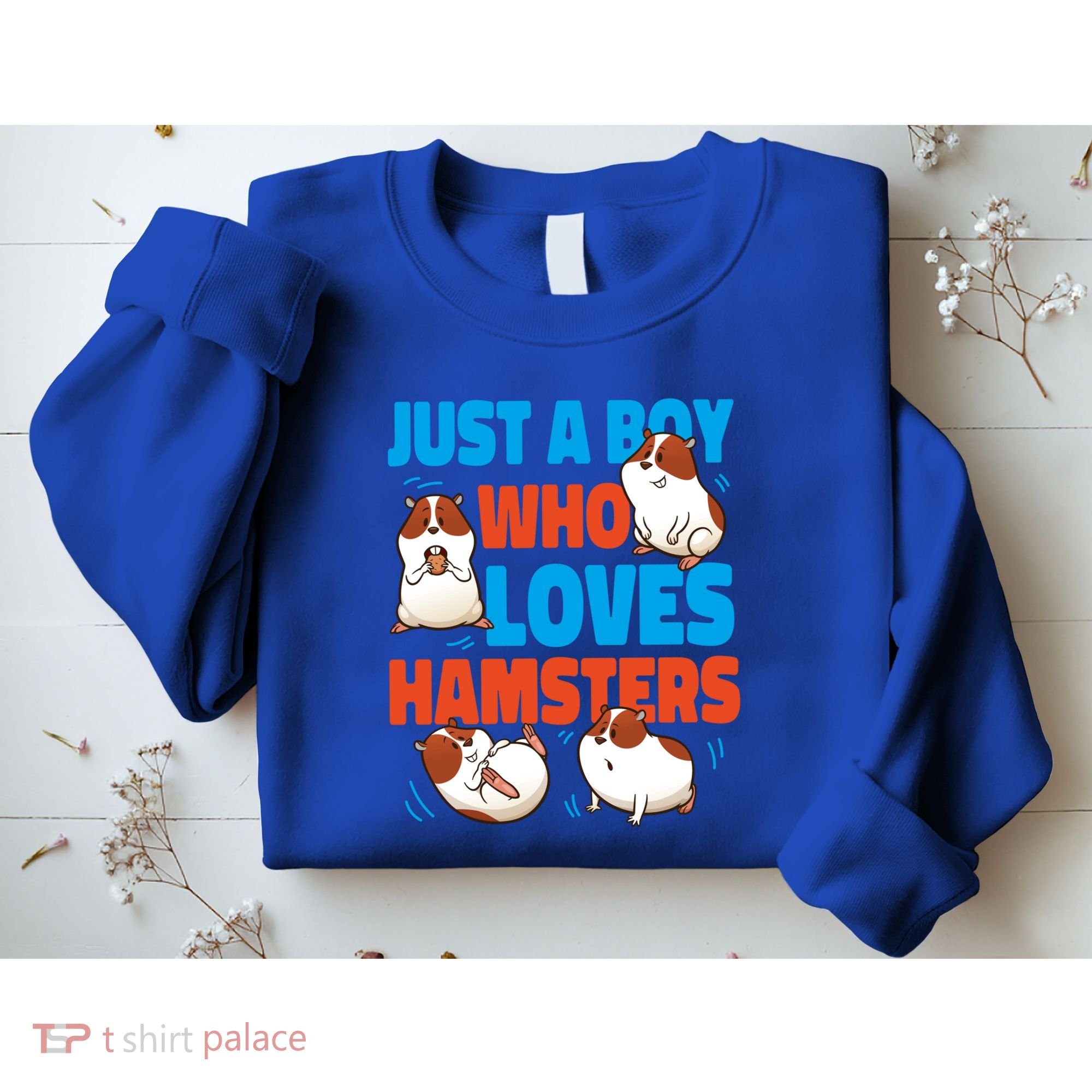 Cute Hamster Just A Boy Who Loves Hamsters Gift Sweatshirt