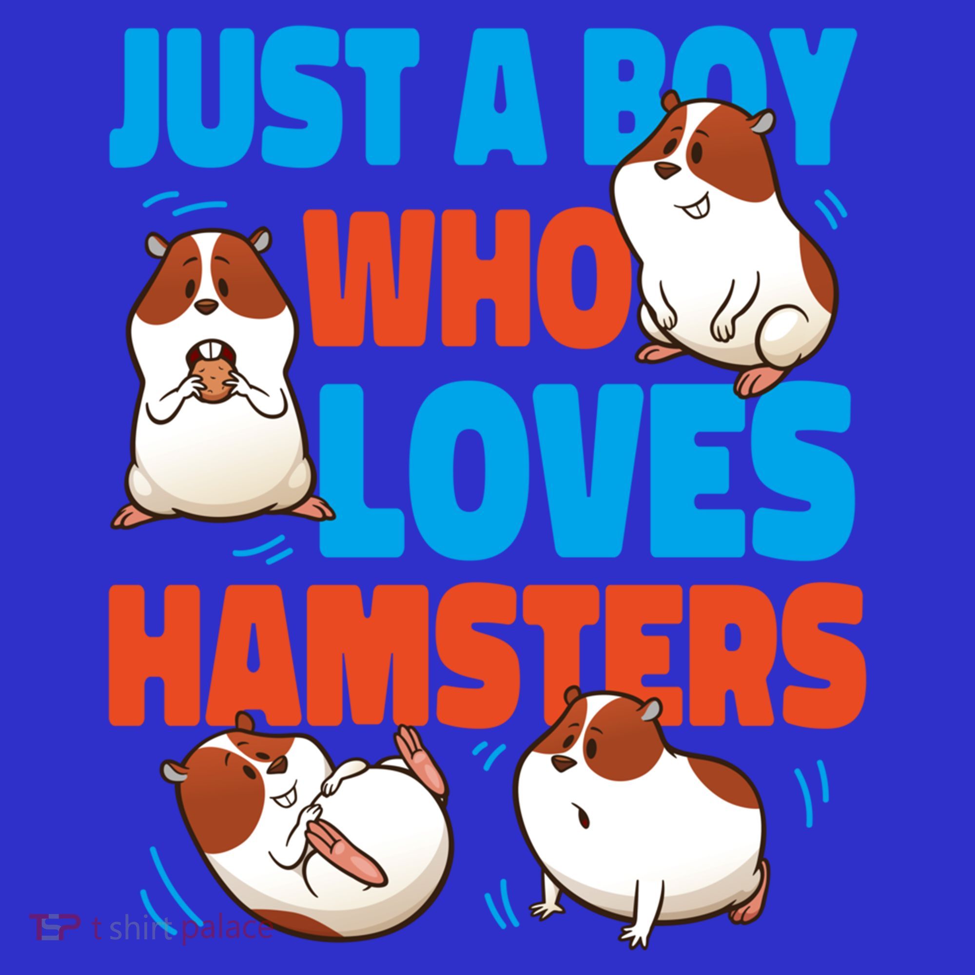 Cute Hamster Just A Boy Who Loves Hamsters Gift Sweatshirt