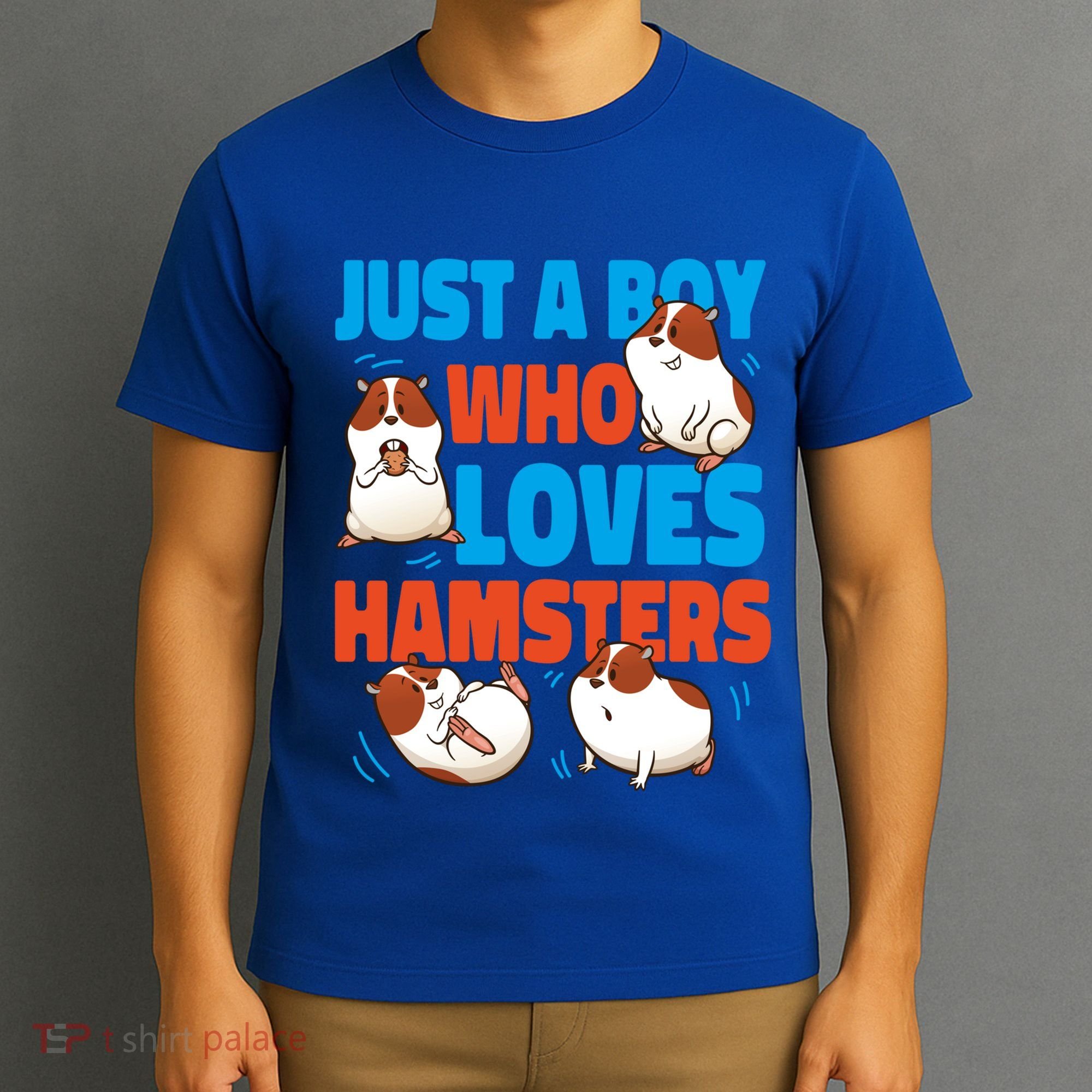Cute Hamster Just A Boy Who Loves Hamsters Gift T-Shirt