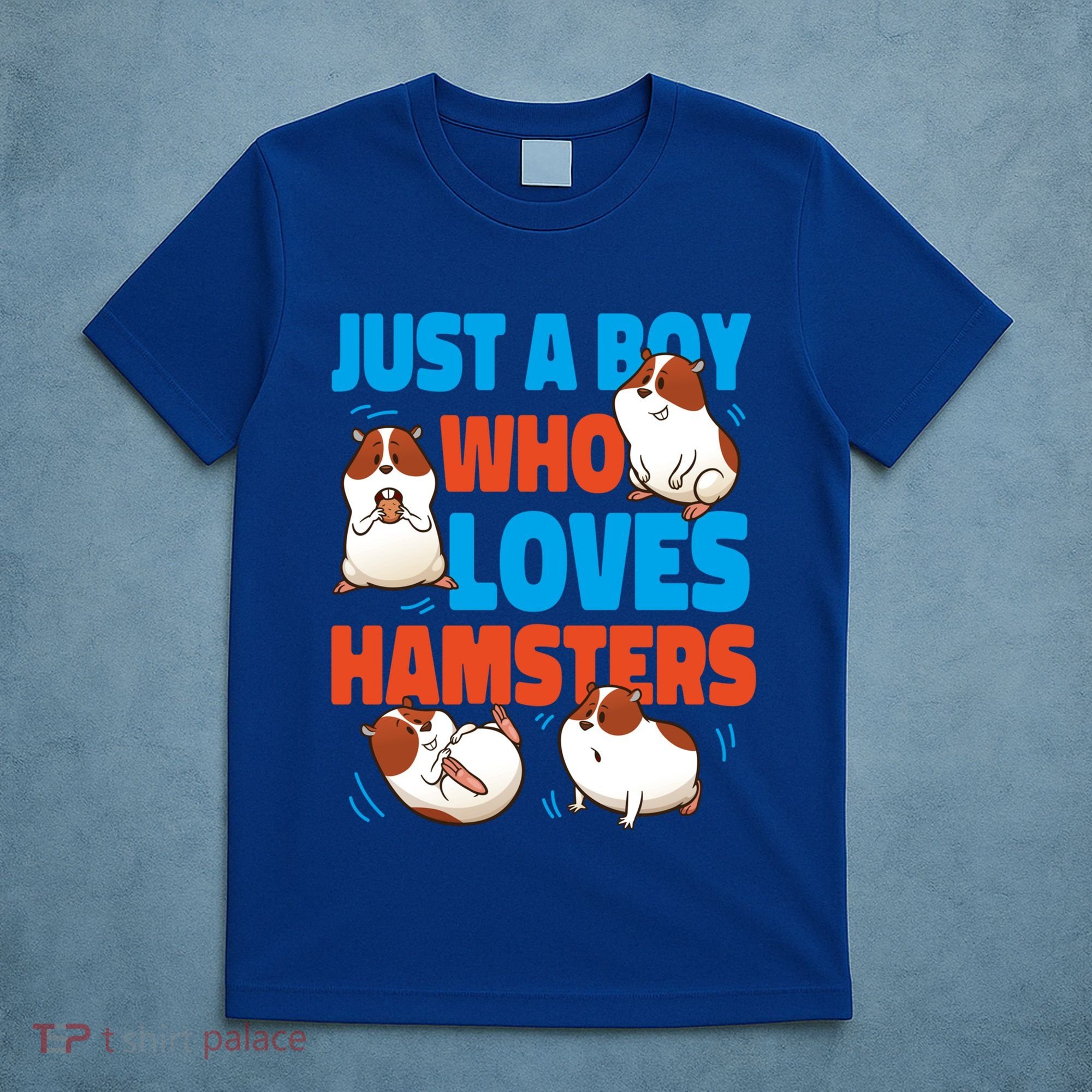 Cute Hamster Just A Boy Who Loves Hamsters Gift T-Shirt