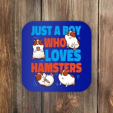 Cute Hamster Just A Boy Who Loves Hamsters Gift Coaster