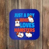 Cute Hamster Just A Boy Who Loves Hamsters Gift Coaster thumb 0