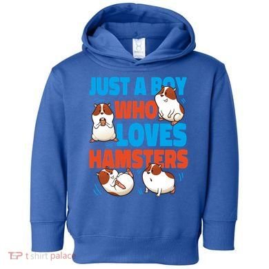 Cute Hamster Just A Boy Who Loves Hamsters Gift Toddler Hoodie