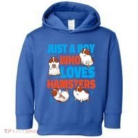 Cute Hamster Just A Boy Who Loves Hamsters Gift Toddler Hoodie thumb 0