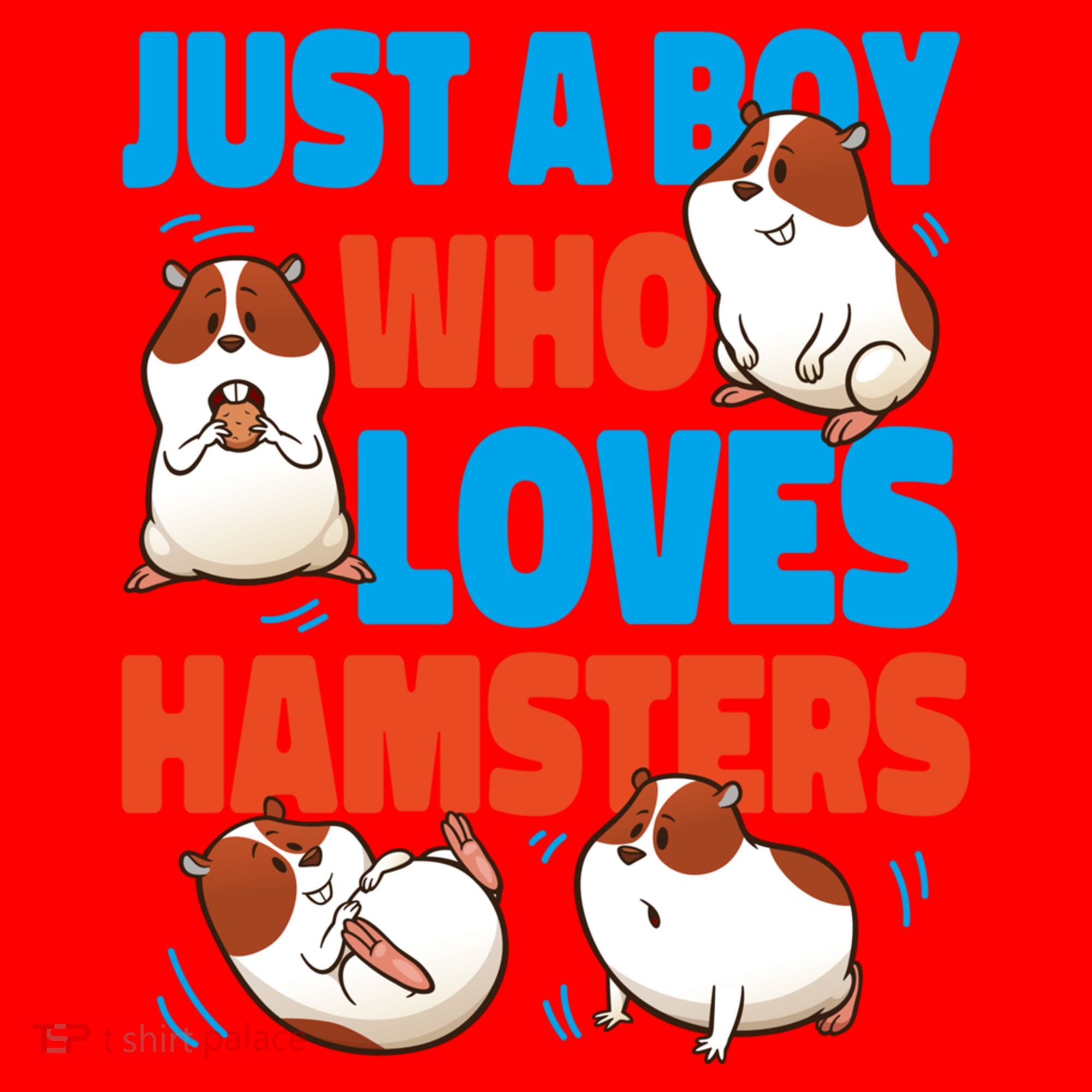 Cute Hamster Just A Boy Who Loves Hamsters Gift Santa Hat