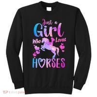 Cute Horse Just A Who Loves Horses Riding Sweatshirt thumb 0