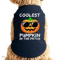 Cute Halloween Kids Coolest Pumpkin In The Patch Glasses Teens Gift Doggie Tank thumb 0