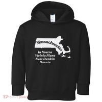 Click Hole Massachusetts In Nostra Vicinia Plura Sunt Dunkin Donuts Toddler Hoodie thumb 0