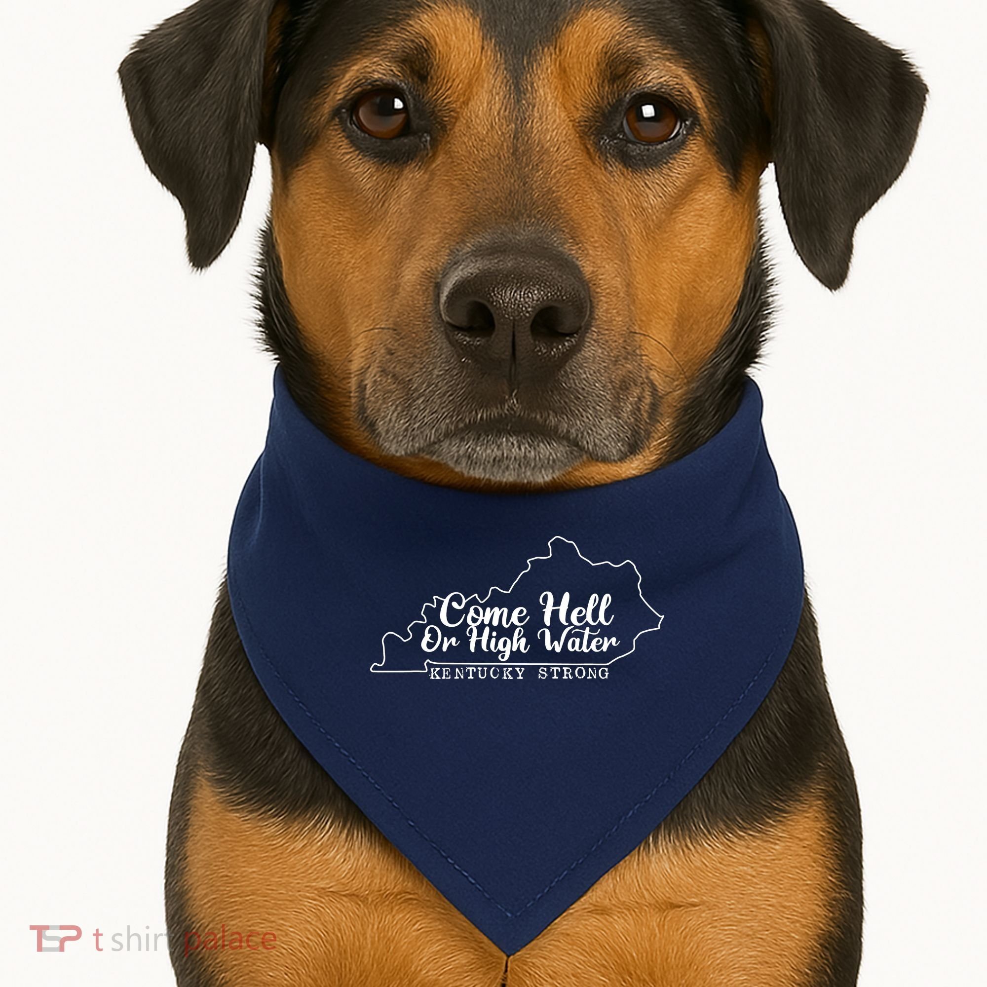 Come Hell Or High Water Cool Kentucky Strong USA-Made Doggie Bandana