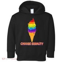 Choose Equality Rainbow Ice Cream Toddler Hoodie thumb 0