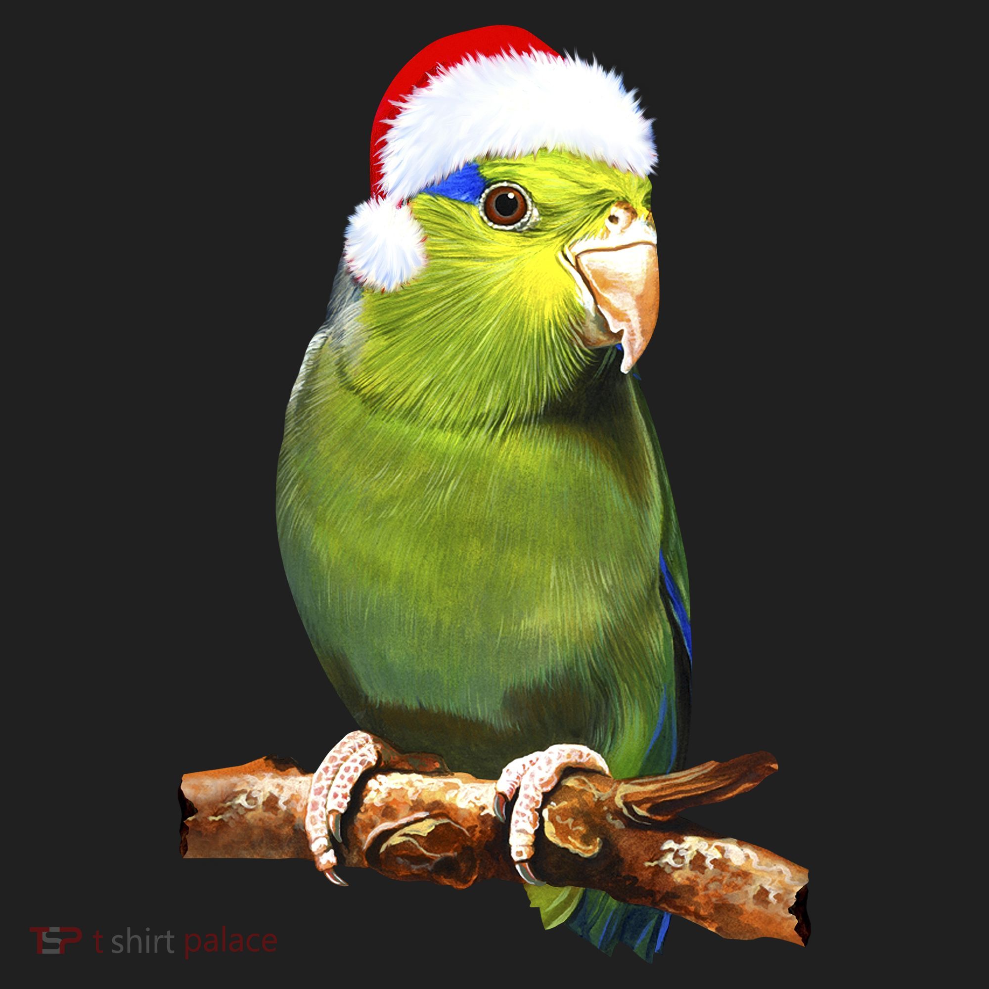 Christmas Bird Parrot Women's Sweatshirt