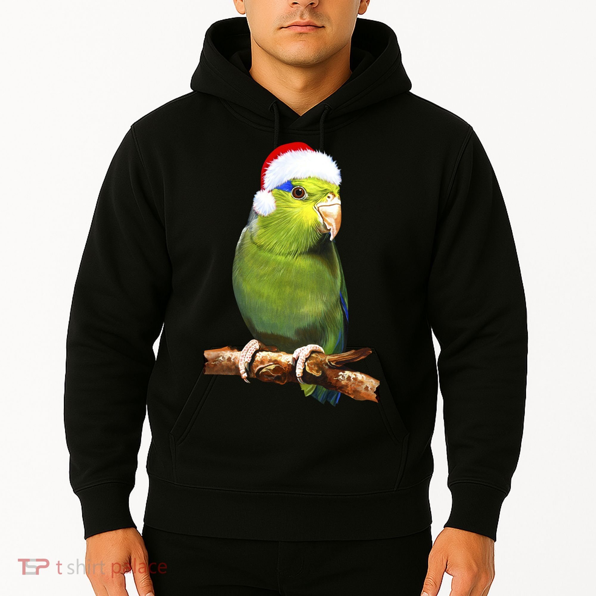 Christmas Bird Parrot Hoodie