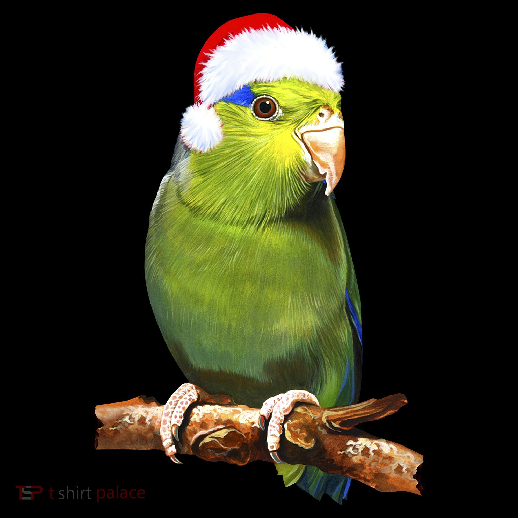 Christmas Bird Parrot Sweatshirt