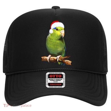 Christmas Bird Parrot Hat