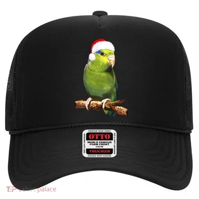 Christmas Bird Parrot Hat