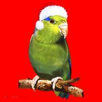 Christmas Bird Parrot Santa Hat thumb 1