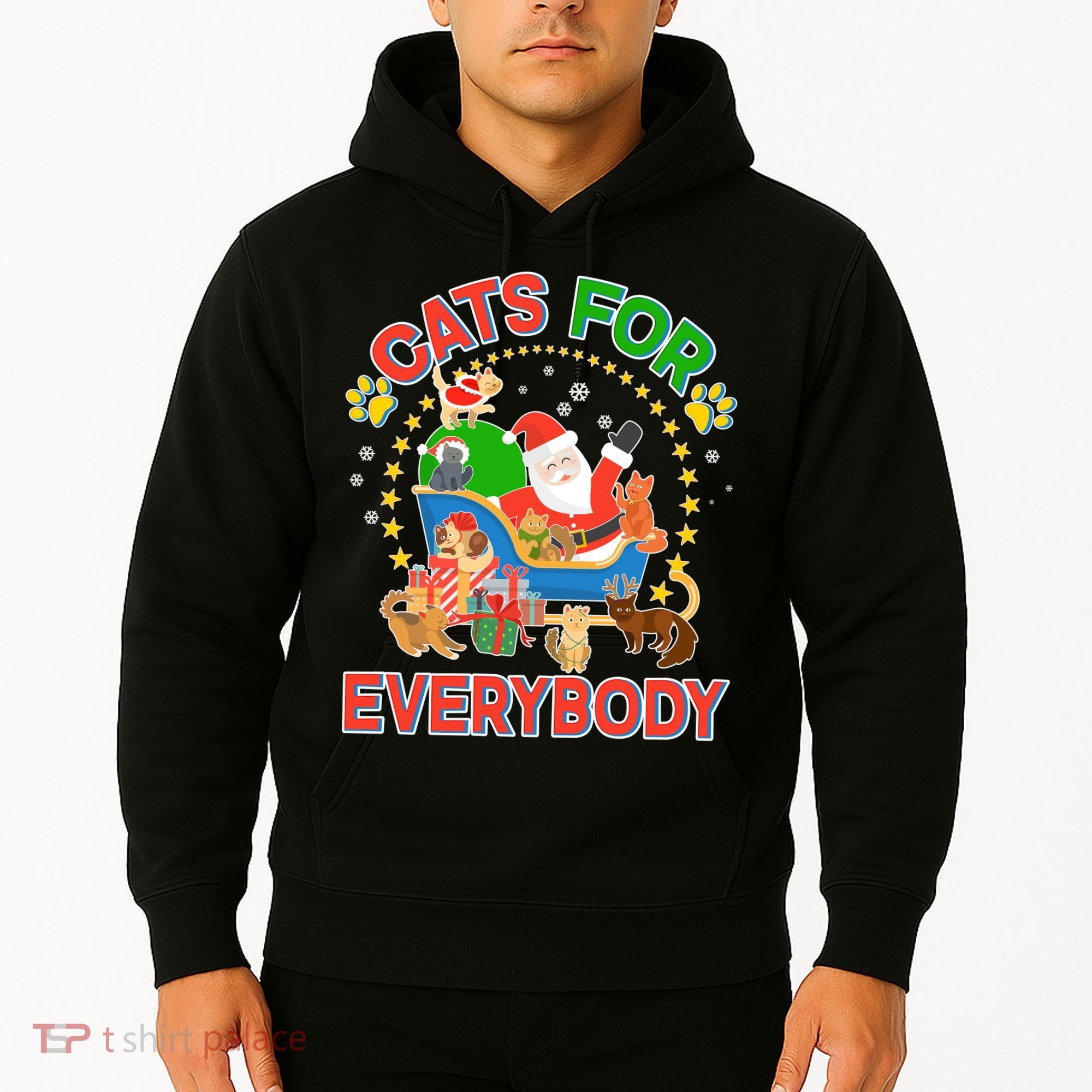 Christmas Cats For Everybody Hoodie