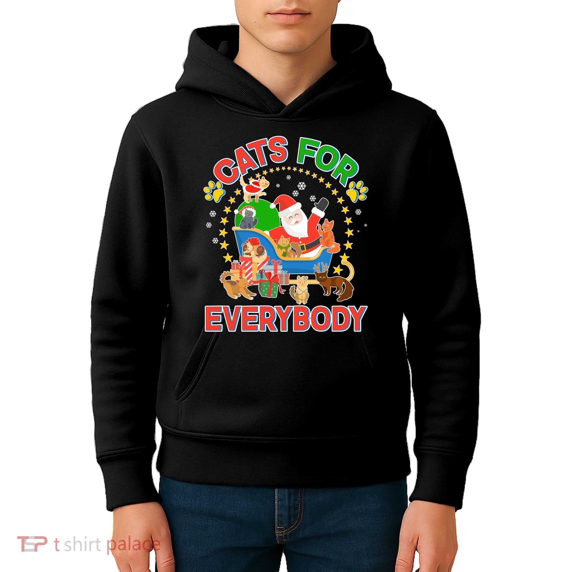 Christmas Cats For Everybody Kids Hoodie