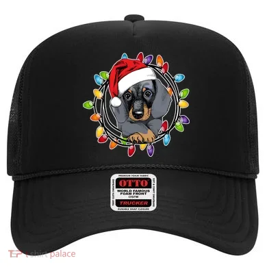 Christmas Dachshund Lights Hat