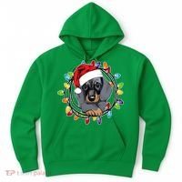 Christmas Dachshund Lights Hoodie thumb 0
