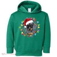 Christmas Dachshund Lights Toddler Hoodie thumb 0