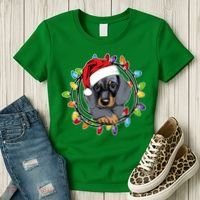 Christmas Dachshund Lights Women's T-Shirt thumb 3