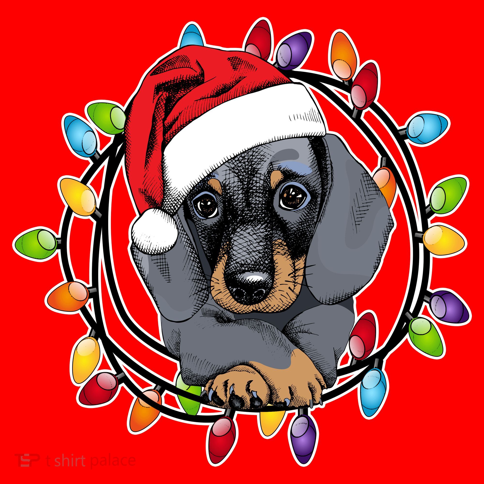 Christmas Dachshund Lights Santa Hat
