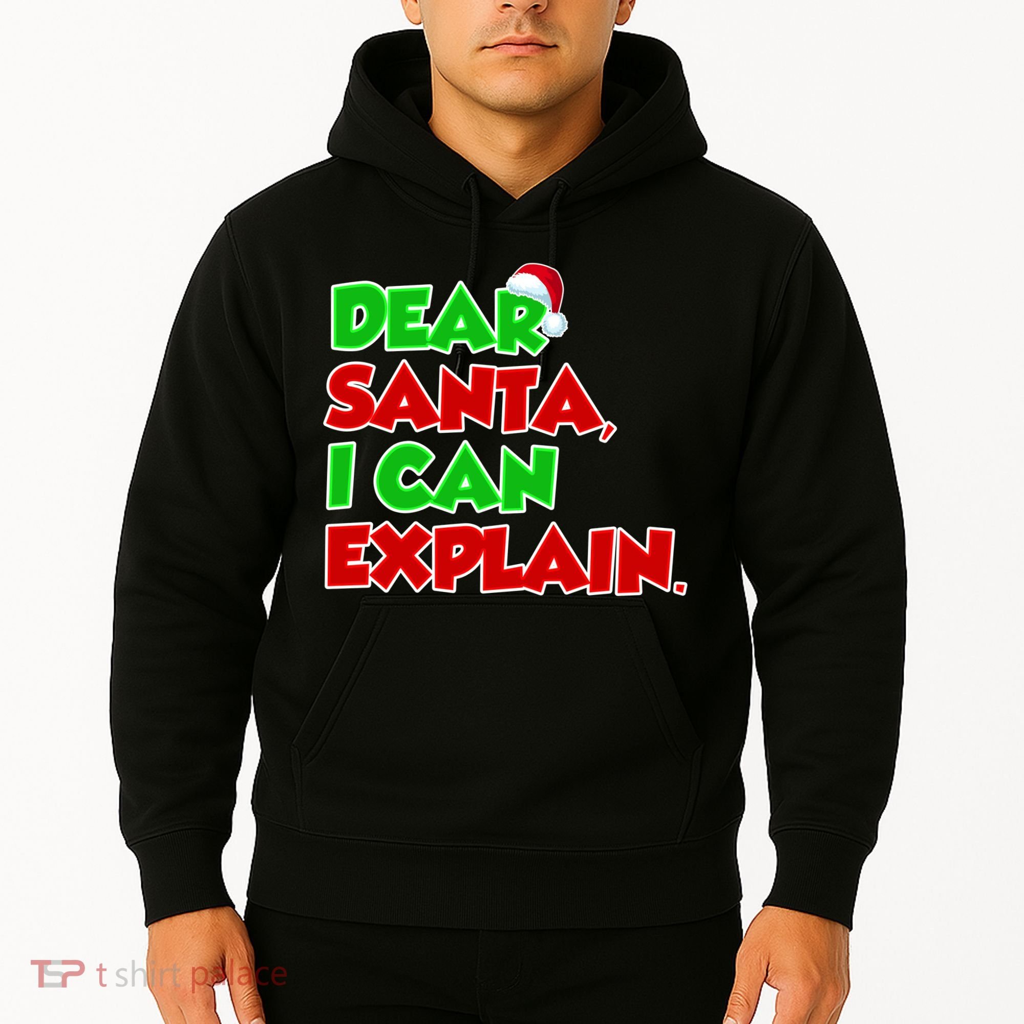Christmas Dear Santa I Can Explain Hoodie