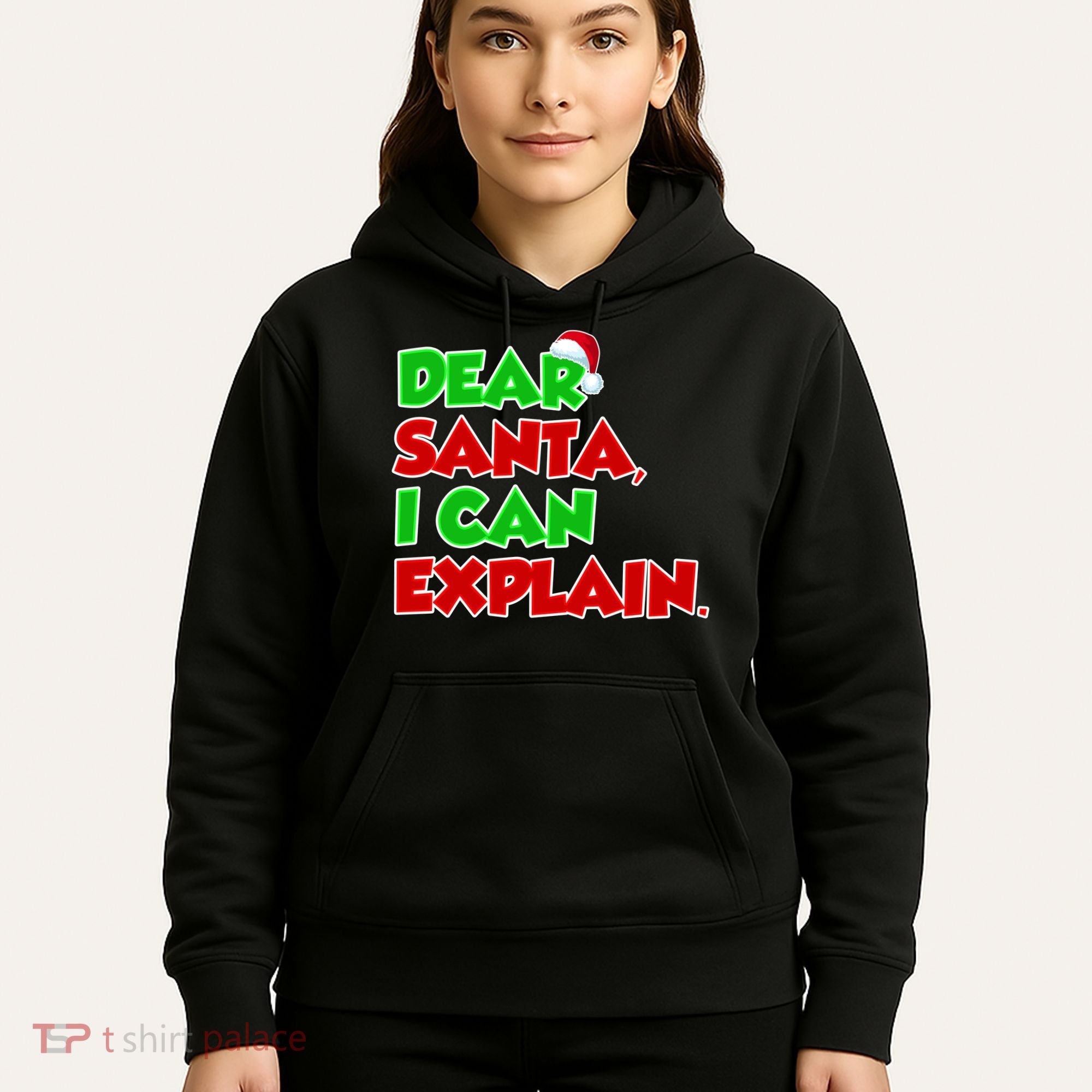 Christmas Dear Santa I Can Explain Hoodie
