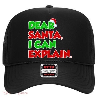 Christmas Dear Santa I Can Explain Hat