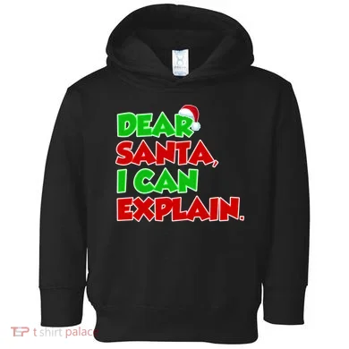 Christmas Dear Santa I Can Explain Toddler Hoodie