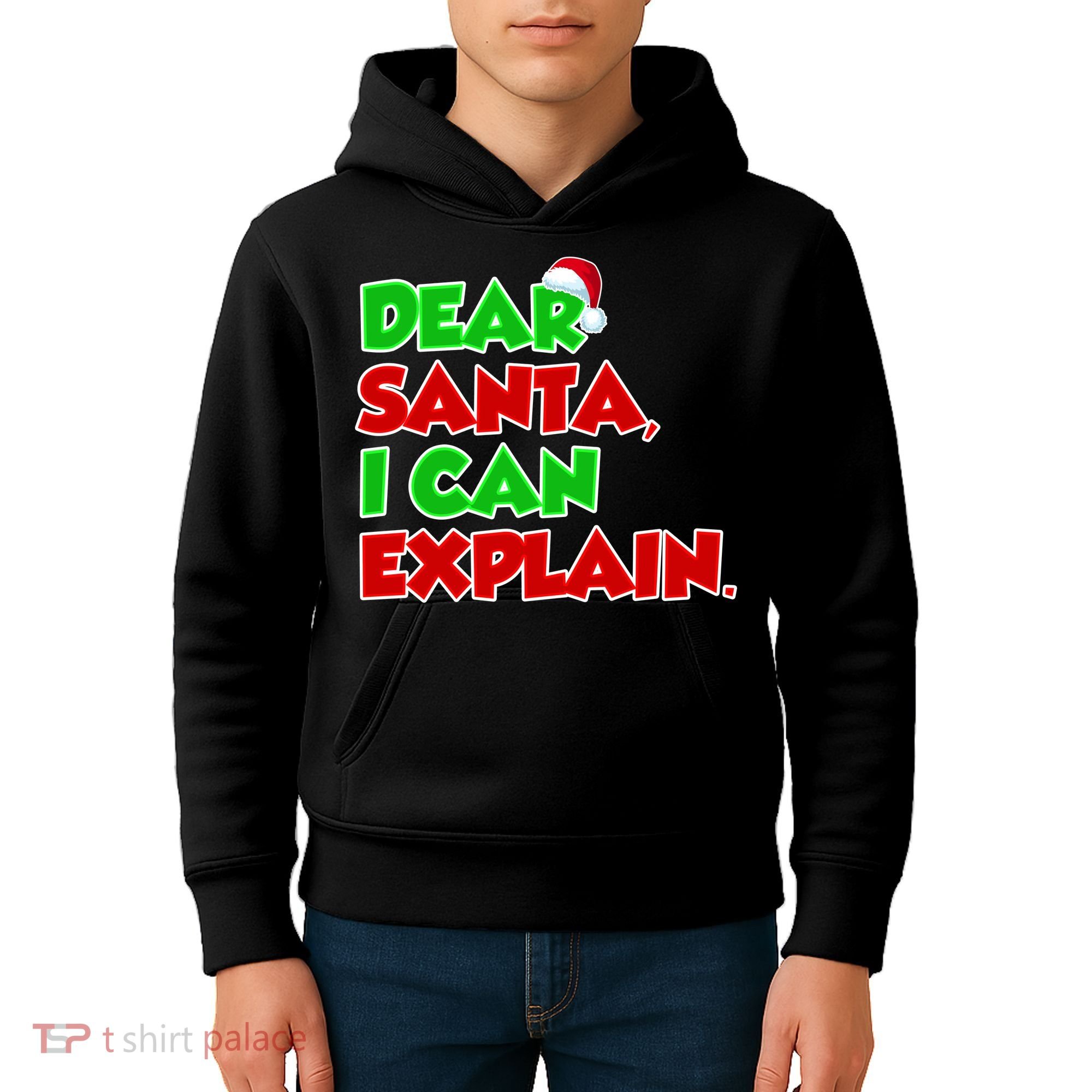 Christmas Dear Santa I Can Explain Kids Hoodie