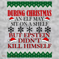 Christmas Elf May Sit On A Shelf But Epstein Didn't Kill Himself Sweatshirt thumb 2