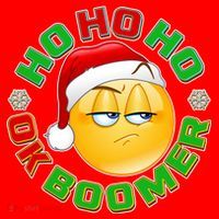 Christmas HO HO HO Ok Boomer Santa Hat thumb 1
