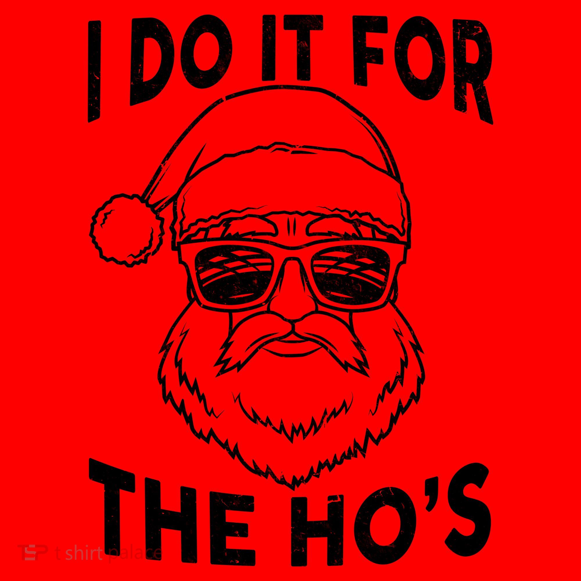 Christmas I Do it for the Ho's X-Mas Santa Hat