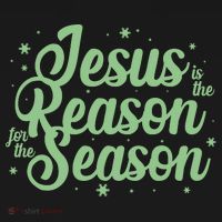 Christmas Jesus Is The Reason For The Season Toddler T-Shirt thumb 4