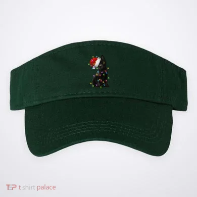 Visor