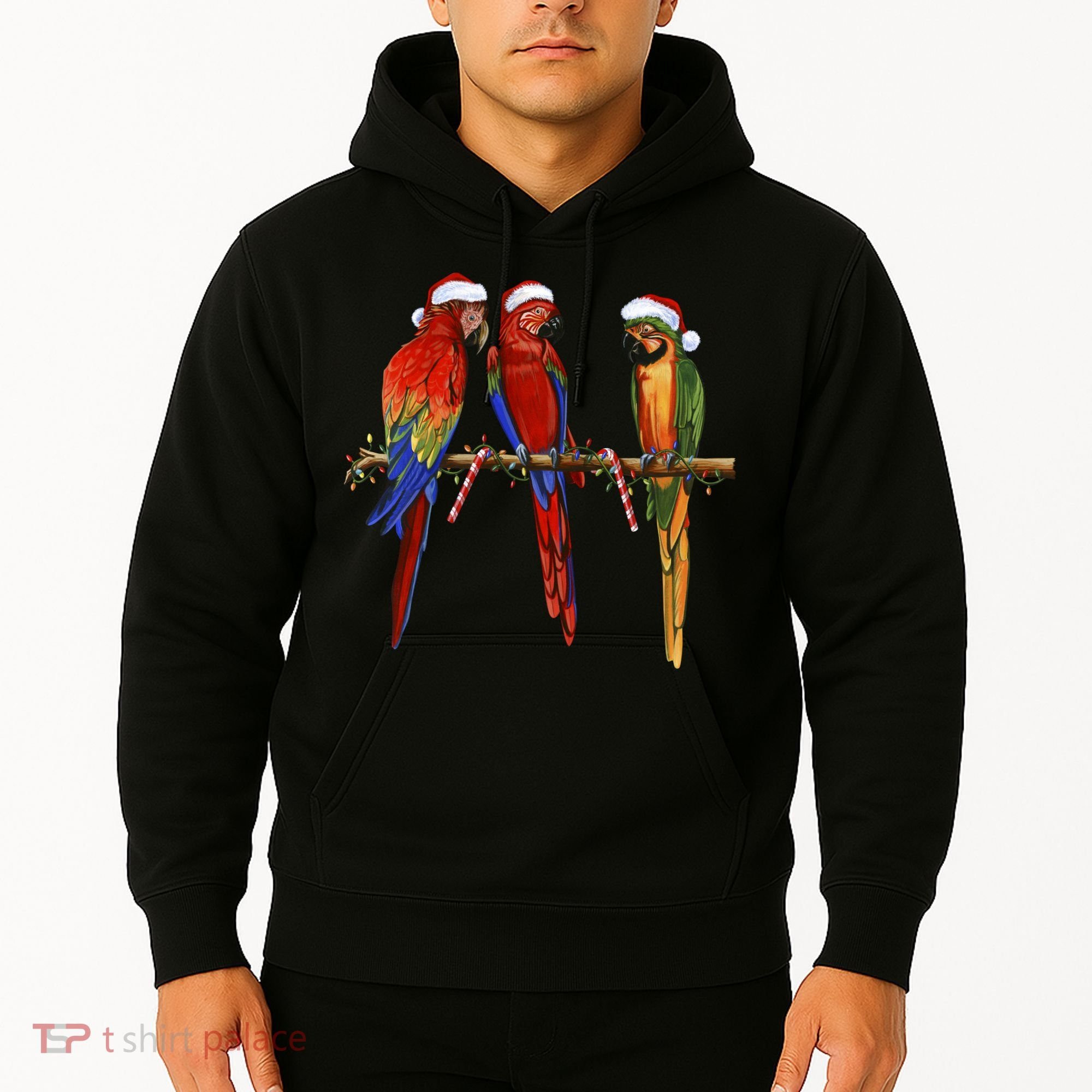 Christmas Parrots Hoodie