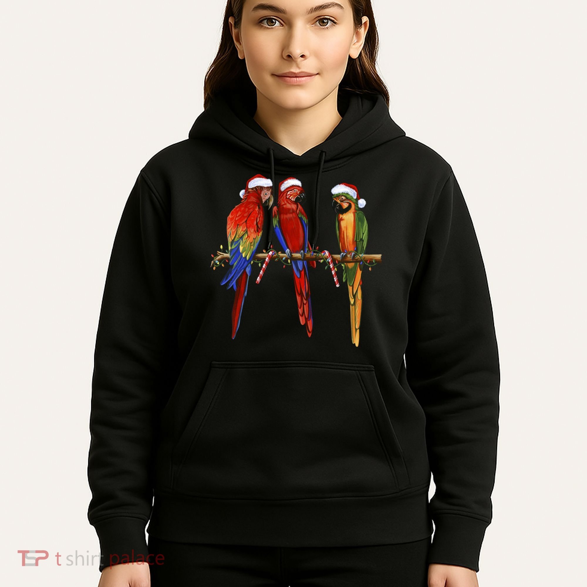 Christmas Parrots Hoodie