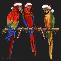 Christmas Parrots Tumbler thumb 3